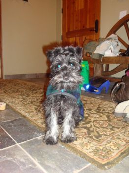 Anjalyn profile photo