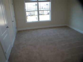 mgmtphd profile photo