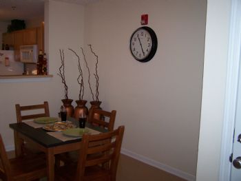 amberz10 profile photo