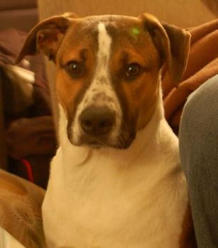 msteingas profile photo