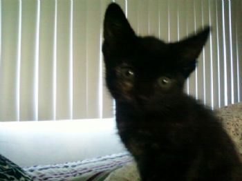 evelyn21 profile photo