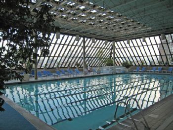 soultice profile photo