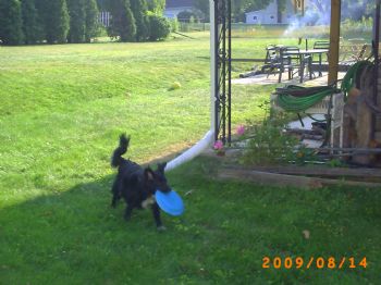 bubbabubba profile photo