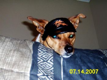 TruPrideNMe profile photo