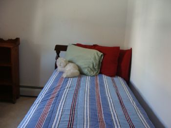 PunxyRentals profile photo