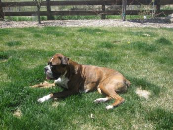 Alzbeta profile photo