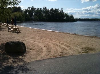 DLBJ15 profile photo