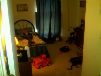 pieman007 profile photo