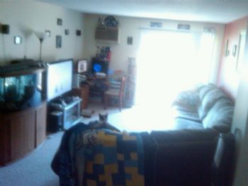 pieman007 profile photo