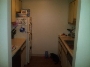 pieman007 profile photo