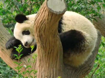 NJandrea profile photo