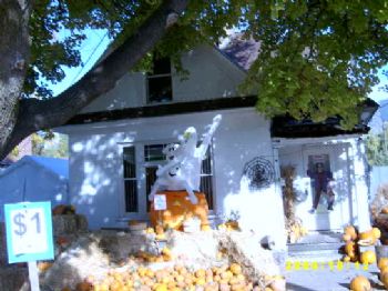 Logan320S100 profile photo