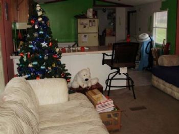 anniebee212 profile photo