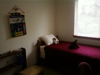 dottiern profile photo