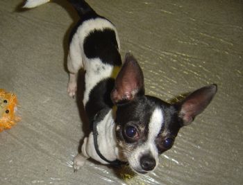 buckster1956 profile photo