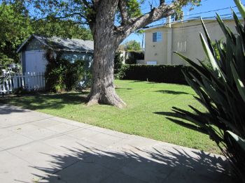 melrosehouse profile photo