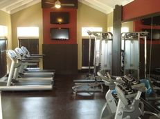 xayden profile photo