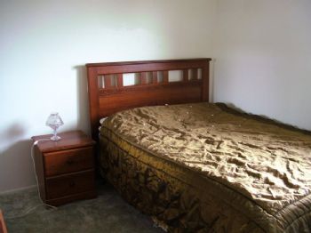 shellym profile photo