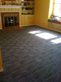 snakiesnake profile photo