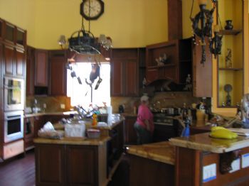 Fiddling Fro profile photo