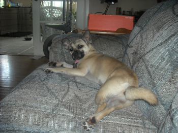 sonicdrink profile photo