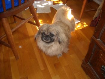 sonicdrink profile photo