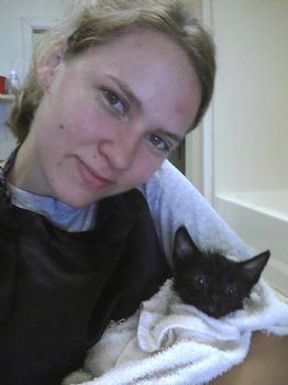 sonicdrink profile photo