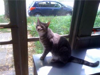 mcthomas78 profile photo