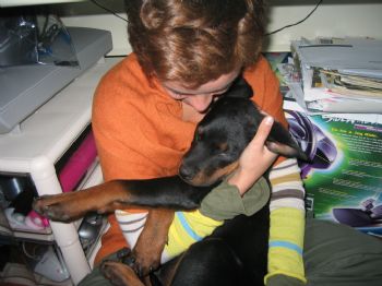 strecht profile photo