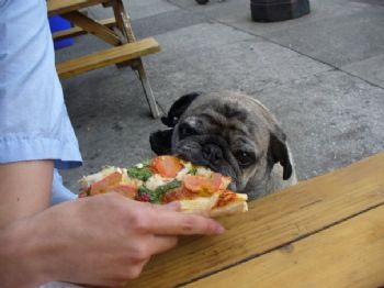 blakewilliam profile photo