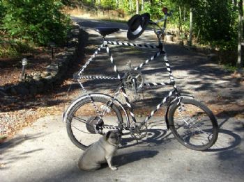 blakewilliam profile photo