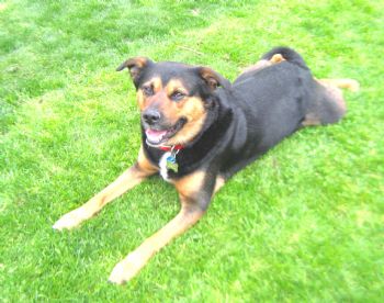 briannams profile photo