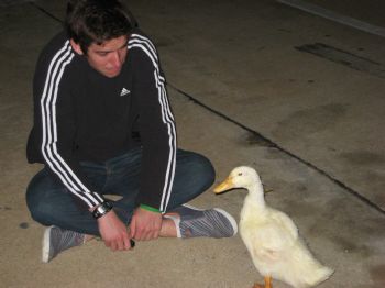 dlacava profile photo