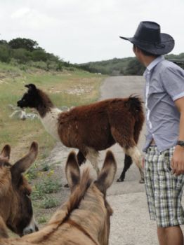 swang2 profile photo