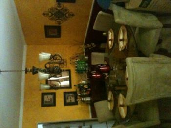 trueblueforl profile photo