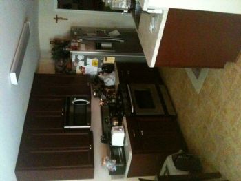 trueblueforl profile photo