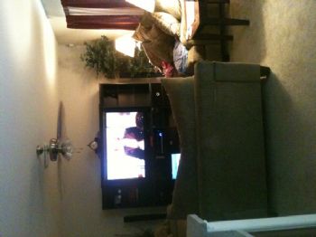 trueblueforl profile photo