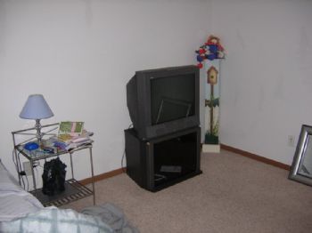 alliecat44 profile photo