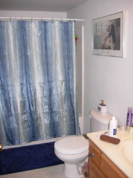 alliecat44 profile photo