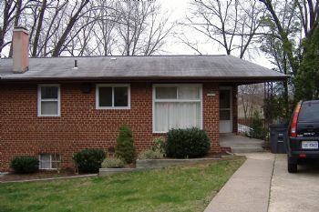 schnauzer profile photo