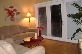 schnauzer profile photo