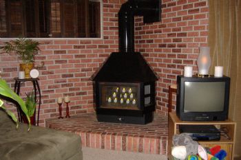 schnauzer profile photo