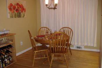 schnauzer profile photo