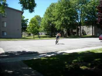 gtf265 profile photo