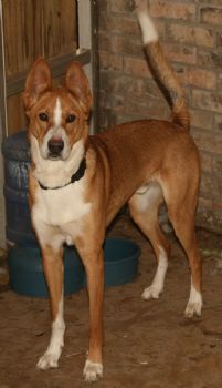 kaseydee profile photo