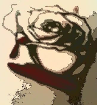 Amei88 profile photo