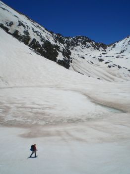 twallis profile photo