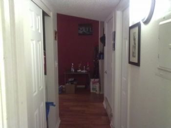 felasus12 profile photo