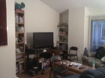 felasus12 profile photo