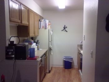 felasus12 profile photo